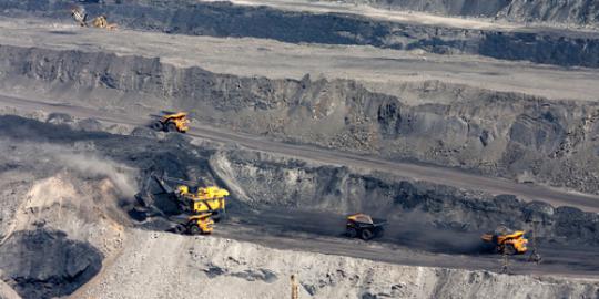 Bumi Resources catat kerugian Rp 156 miliar di kuartal I