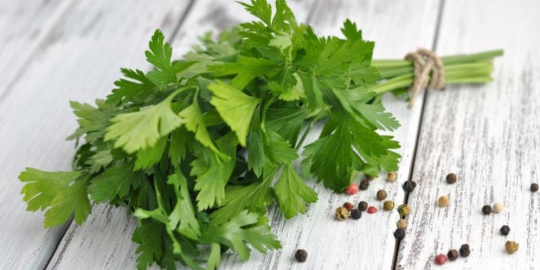 6 herba dapur dan kegunaannya