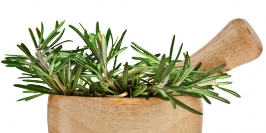 6 herba dapur dan kegunaannya