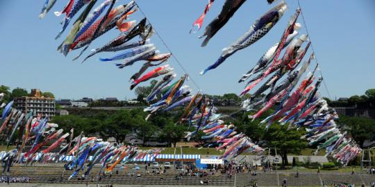 Ribuan ikan mas terbang di atas Sungai Sagamihara, Jepang