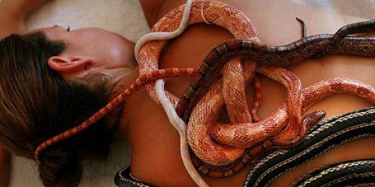 snake massage rev1