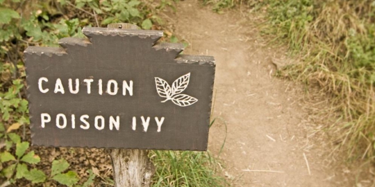 6 penyebab utama rasa gatal