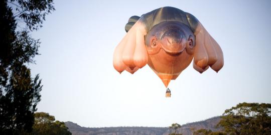 Melihat 'Skywhale' balon udara terbesar di dunia