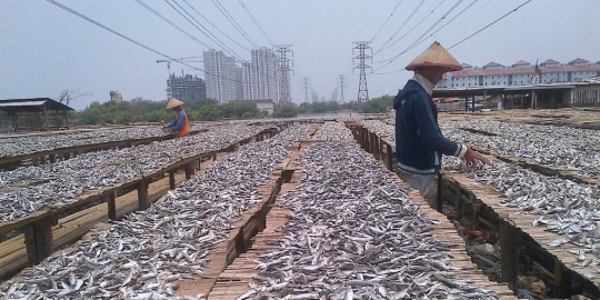 semakin terpukul rev1