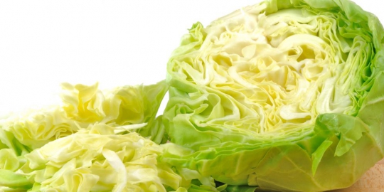 9 aturan pola makan untuk cegah kanker payudara