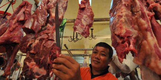 Gita: Bulog belum tentu dapat jatah impor daging sapi