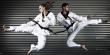 Taekwondo: 326 wasit dari 29 negara ikuti seminar internasional di Jakarta