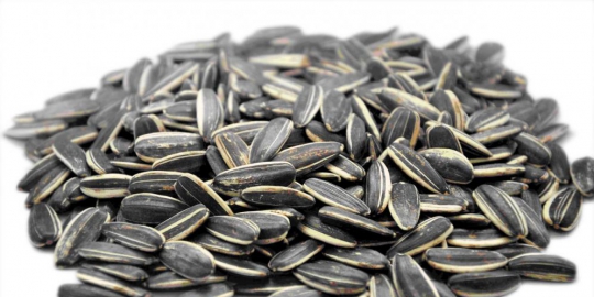 5 nutrisi yang sering diabaikan orang