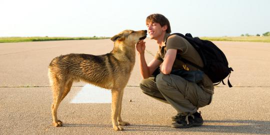Ternyata anjing dan manusia berevolusi bersama