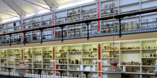 museum inggris