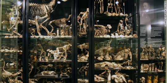 medical museum korea selatan