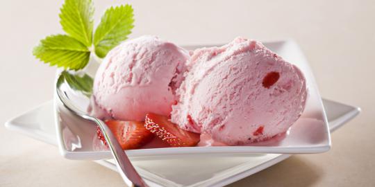 Kafe di Jepang jual es krim rasa burung