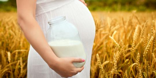 Minum susu organik saat hamil turunkan IQ anak