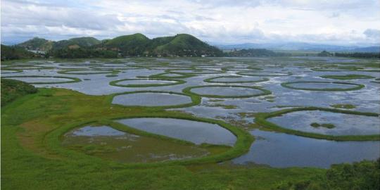 Keajaiban pulau terapung di danau India