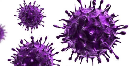 WHO: Virus MERS jadi ancaman global