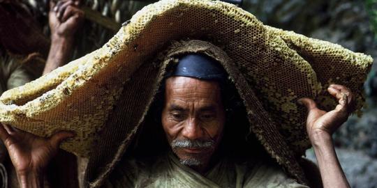 Kisah keberanian pemburu madu di tebing Nepal