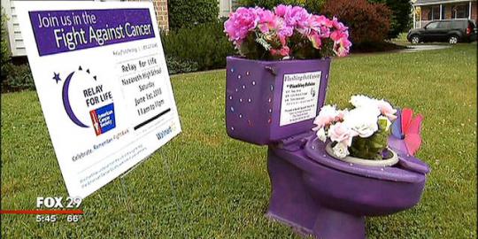 Galang dana untuk kanker, wanita ini pajang toilet ungu di teras