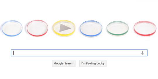 Google sambut hari jadi penemu cawan petri
