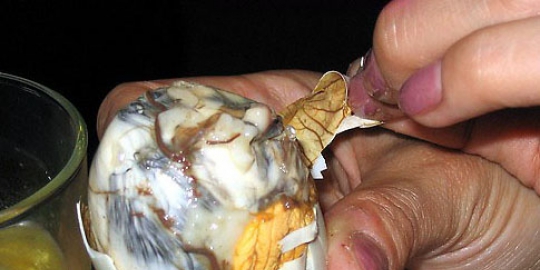 7 hidangan teraneh dari berbagai negara