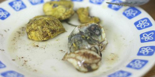 7 hidangan teraneh dari berbagai negara