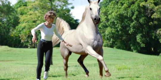 Prancersise, olahraga dengan gerakan konyol