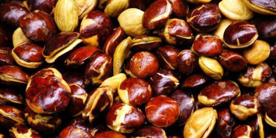 Jangan sampai jengkol dan petai juga diimpor
