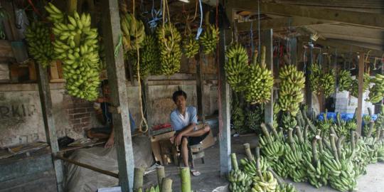 Buah yang tidak hanya berputar di wacana