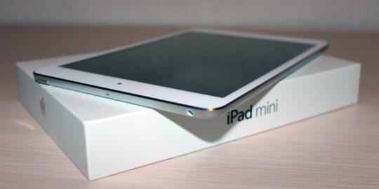iPad Mini Retina dipasarkan Agustus 2013?