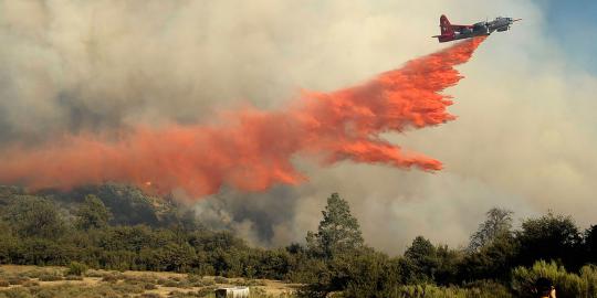 Akibat kebakaran hutan, kabut asap menyerbu Batam dan Dumai