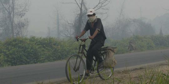 Kebakaran hutan di Sumatera, titik api terus bertambah