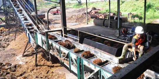 Amerika cuaca buruk, industri sawit Indonesia untung besar