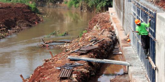 Jokowi: Jangan bilang normalisasi kali belum dikerjakan
