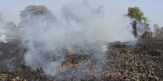 Ini penyebab kebakaran hutan di Riau yang diprotes Singapura