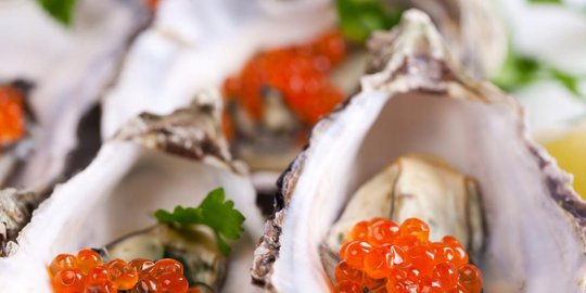 10 hewan yang dimakan hidup-hidup oleh manusia