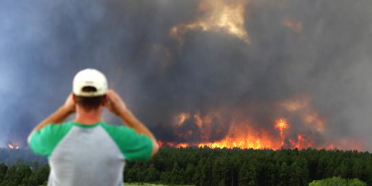 Menteri Lingkungan Hidup terjunkan tim selidiki kebakaran hutan