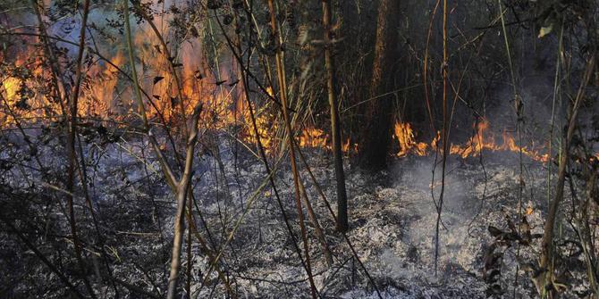 Hujan buatan disiapkan untuk padamkan kebakaran hutan di Riau | merdeka.com