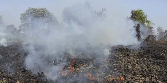 Ini 8 perusahaan Malaysia yang diduga membakar hutan di Riau