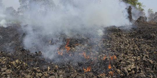 Atasi kebakaran hutan, pemerintah bikin hujan buatan di Riau