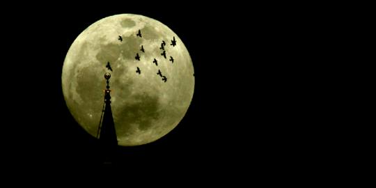 Lihat ke langit malam ini, ada supermoon!