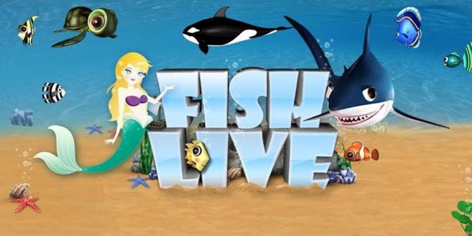 Serunya Memelihara Ikan Hias Lucu Di Fish Live Merdeka Com