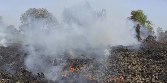 Hujan kurangi polusi asap kebakaran hutan di Pekanbaru