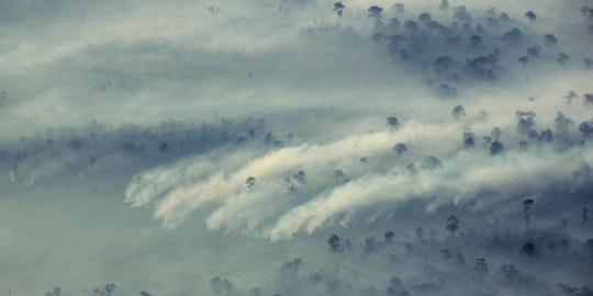 Tersangka pembakaran lahan di Riau jadi 10 orang