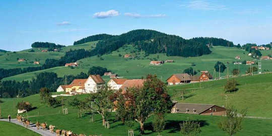 7 hal yang terkenal dari swiss