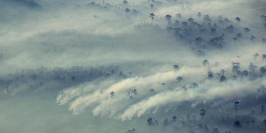 Padamkan kebakaran hutan, Indonesia tak butuh bantuan Malaysia
