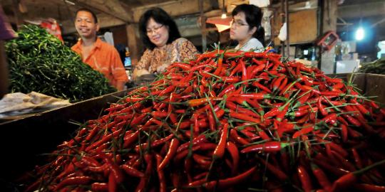 Alasan Hatta datangkan 10.000 ton cabe impor