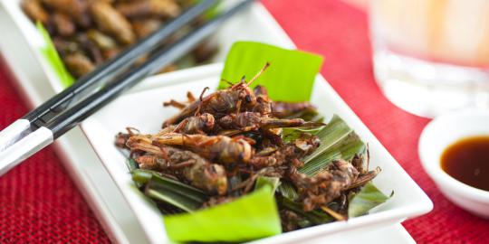 Makan serangga bisa atasi masalah kelaparan dunia?