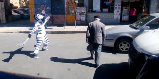 Zebra Cross yang bisa menari