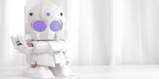 Rapiro, robot asisten pribadi berukuran mini
