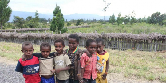 kesehatan dan pendidikan papua rev2