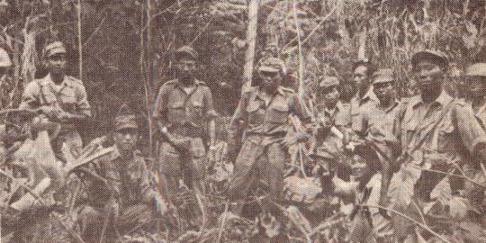Kisah gerilya Letkol Kawilarang dan harimau Sumatera